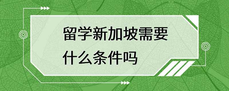 留学新加坡需要什么条件吗