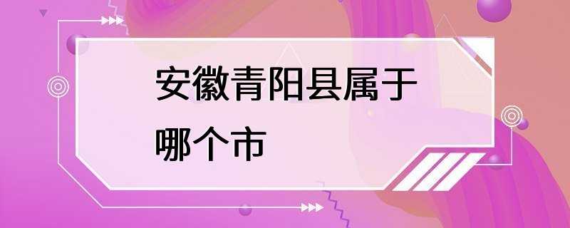 安徽青阳县属于哪个市