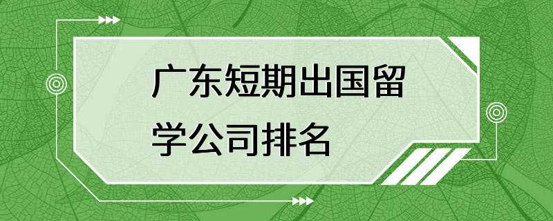 广东短期出国留学公司排名