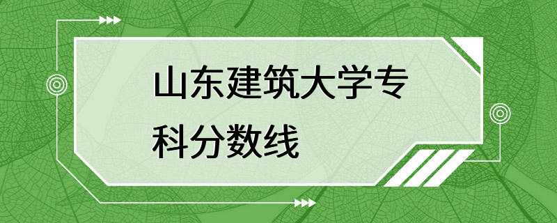 山东建筑大学专科分数线