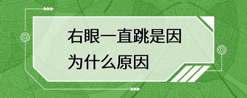 右眼一直跳是因为什么原因