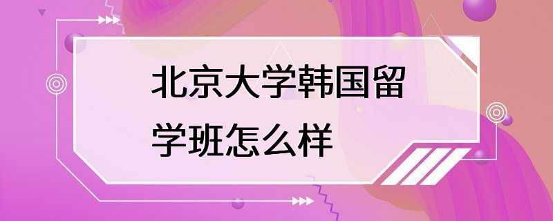 北京大学韩国留学班怎么样