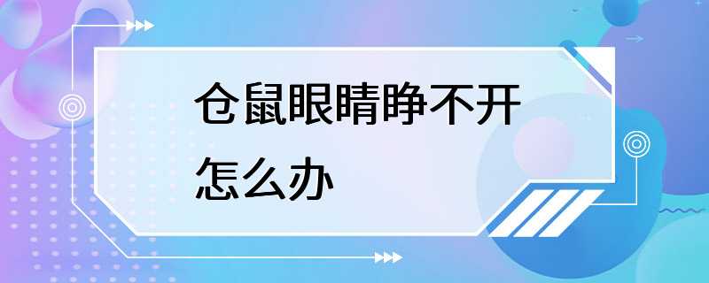 仓鼠眼睛睁不开怎么办