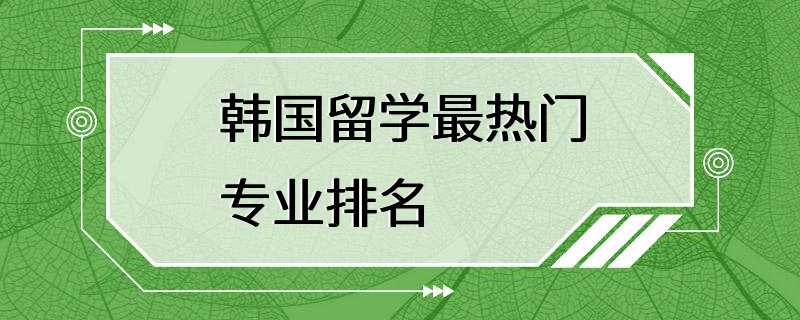 韩国留学最热门专业排名