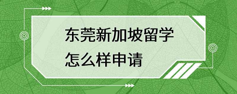 东莞新加坡留学怎么样申请