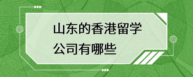 山东的香港留学公司有哪些