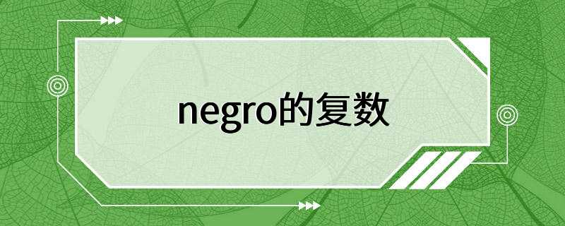 negro的复数