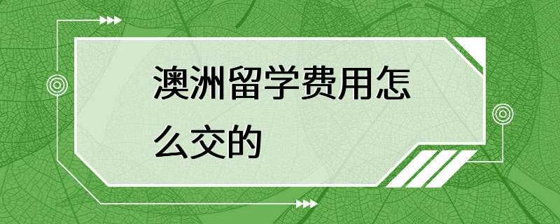 澳洲留学费用怎么交的