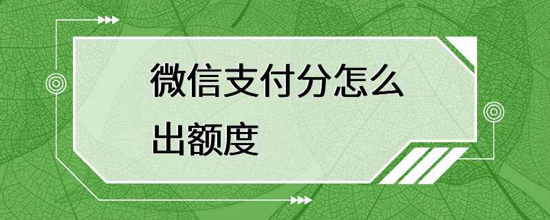 微信支付分怎么出额度