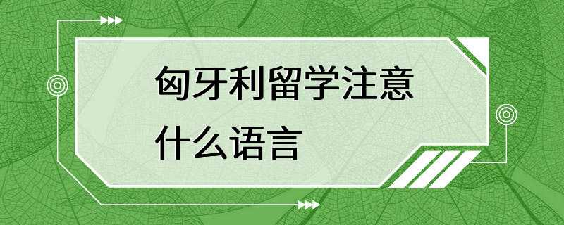 匈牙利留学注意什么语言