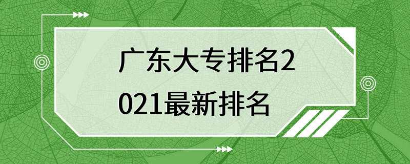 广东大专排名2021最新排名