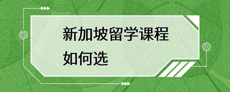 新加坡留学课程如何选