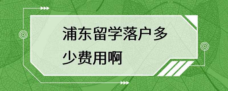 浦东留学落户多少费用啊