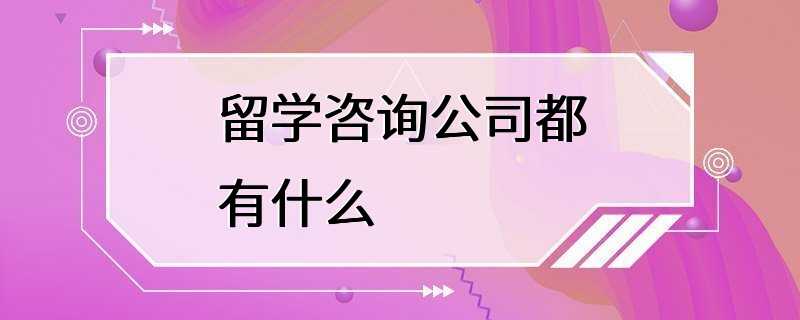 留学咨询公司都有什么