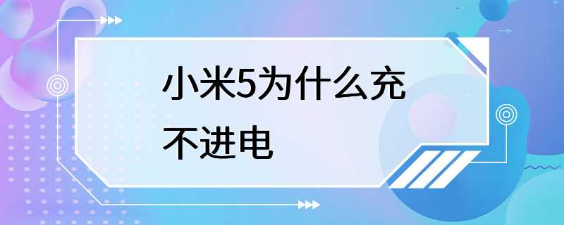 小米5为什么充不进电