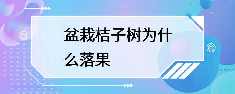 盆栽桔子树为什么落果