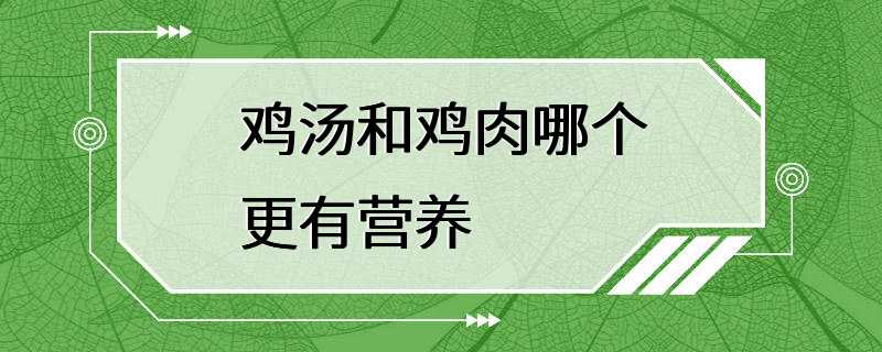 鸡汤和鸡肉哪个更有营养