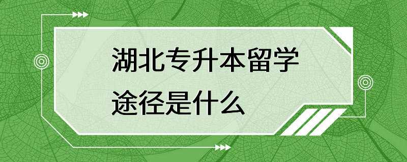 湖北专升本留学途径是什么