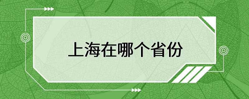 上海在哪个省份