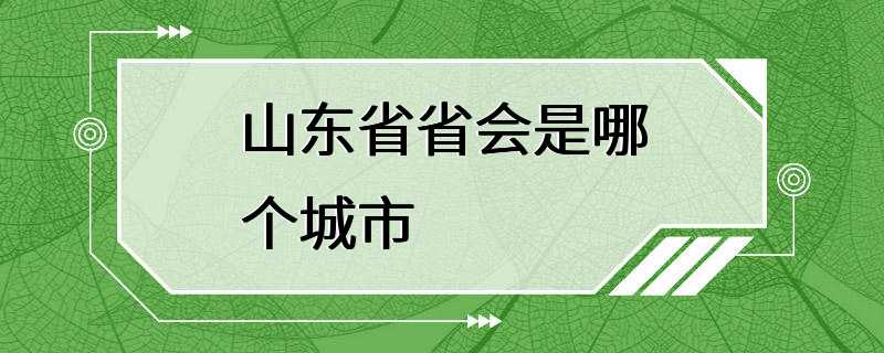 山东省省会是哪个城市