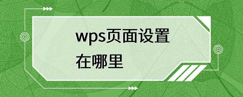 wps页面设置在哪里