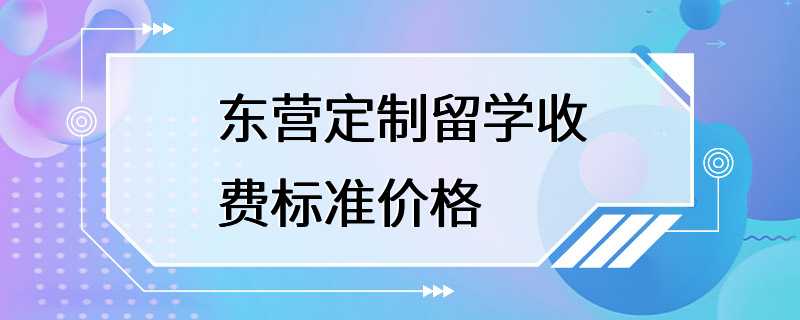 东营定制留学收费标准价格