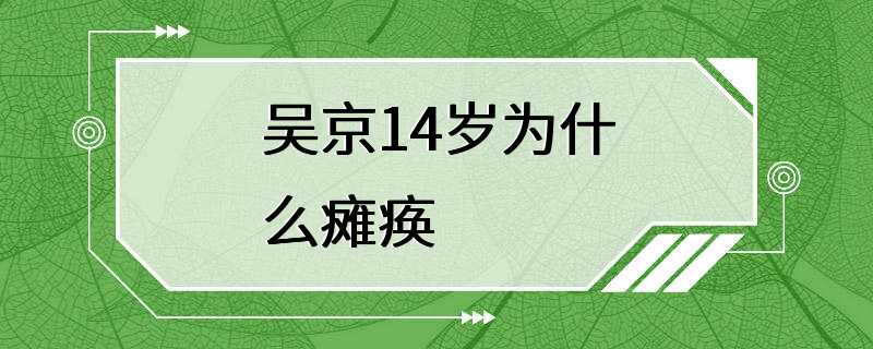 吴京14岁为什么瘫痪