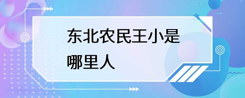 东北农民王小是哪里人