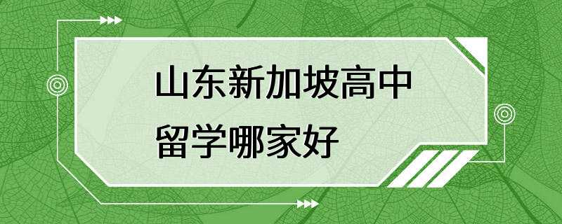 山东新加坡高中留学哪家好