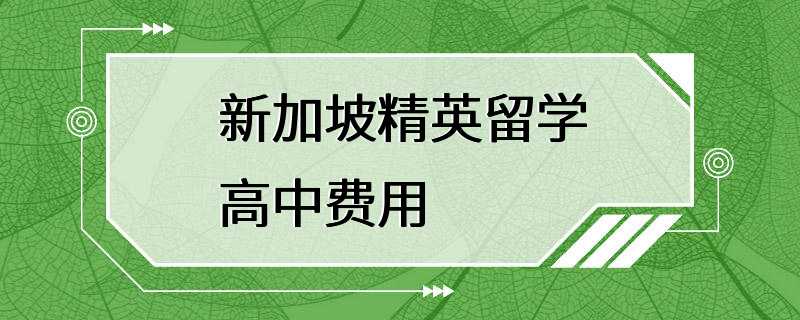 新加坡精英留学高中费用