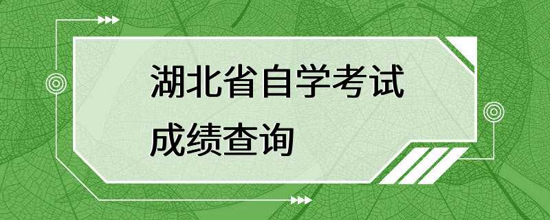 湖北省自学考试成绩查询