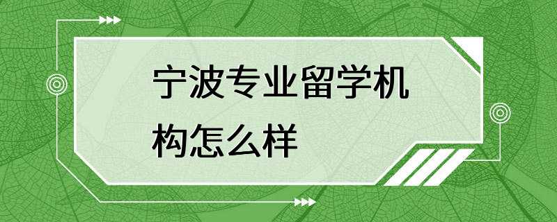 宁波专业留学机构怎么样