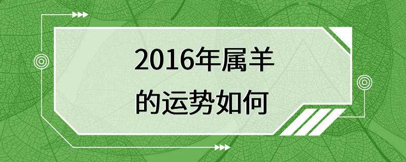 2016年属羊的运势如何