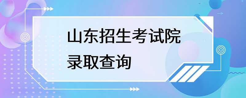 山东招生考试院录取查询