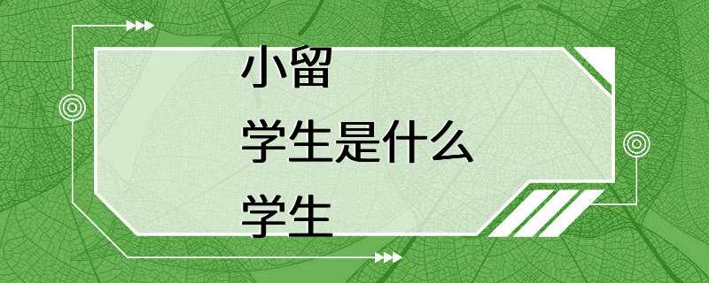 小留学生是什么学生