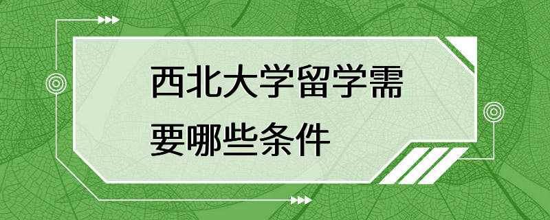 西北大学留学需要哪些条件