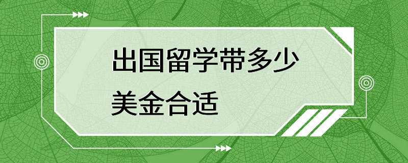 出国留学带多少美金合适