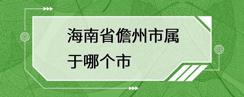 海南省儋州市属于哪个市