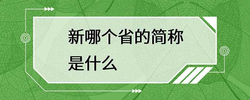 新哪个省的简称是什么