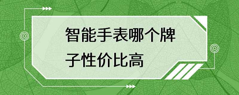 智能手表哪个牌子性价比高