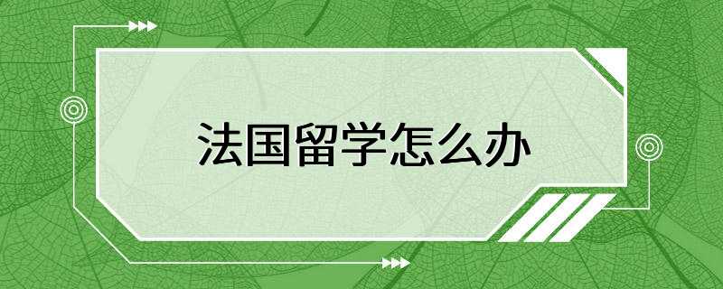 法国留学怎么办