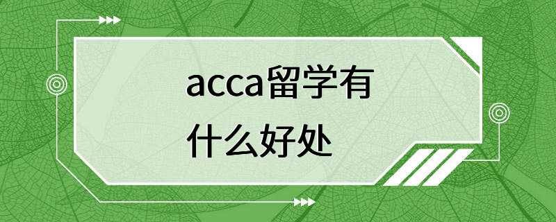 acca留学有什么好处