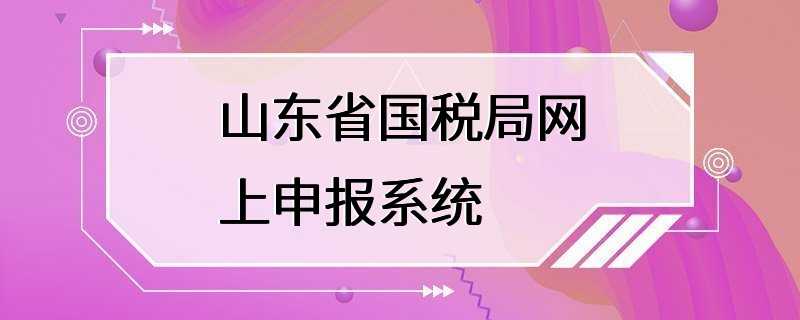 山东省国税局网上申报系统