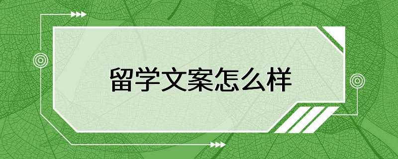 留学文案怎么样