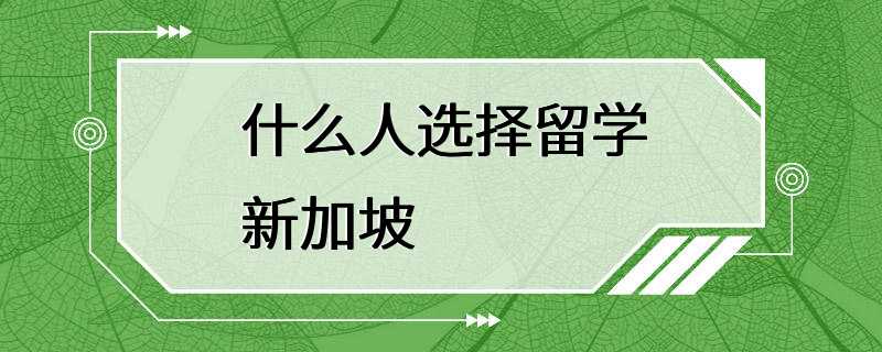 什么人选择留学新加坡