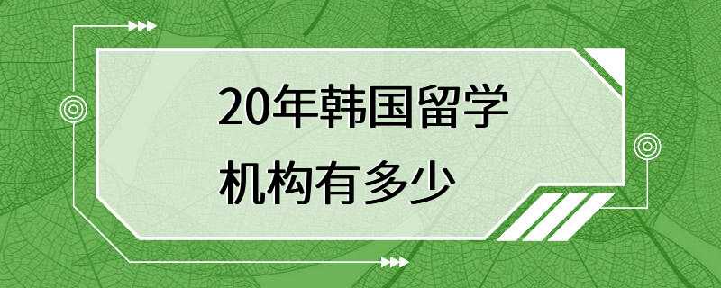 20年韩国留学机构有多少