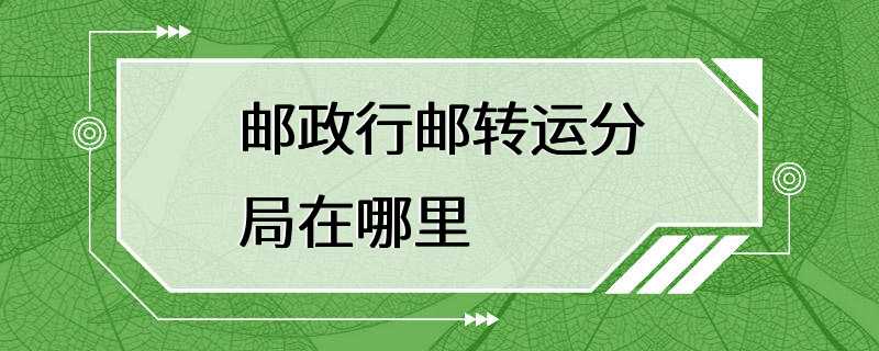 邮政行邮转运分局在哪里