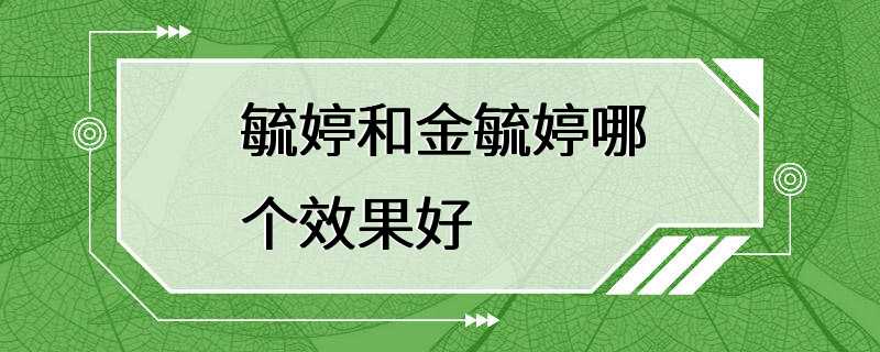 毓婷和金毓婷哪个效果好