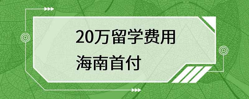 20万留学费用海南首付