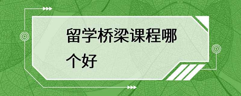 留学桥梁课程哪个好